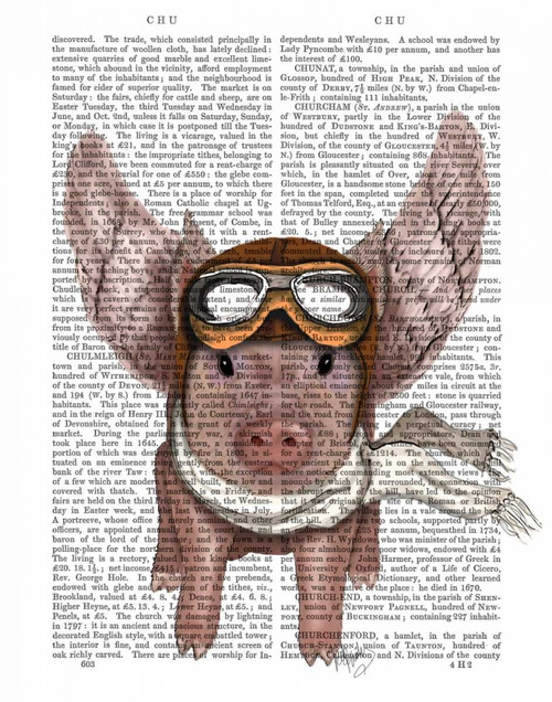 Stampa su tela Poster Fab Funky Piggy aviatore Arte per bambini Verticale